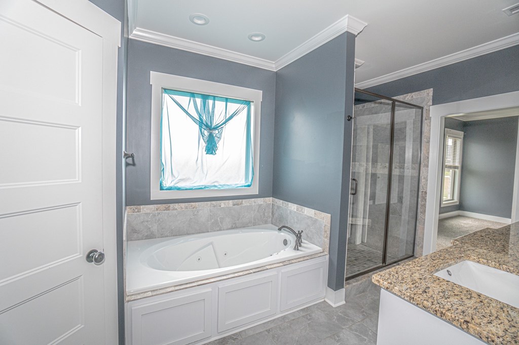 Primary Bathroom Tub and Separate Shower