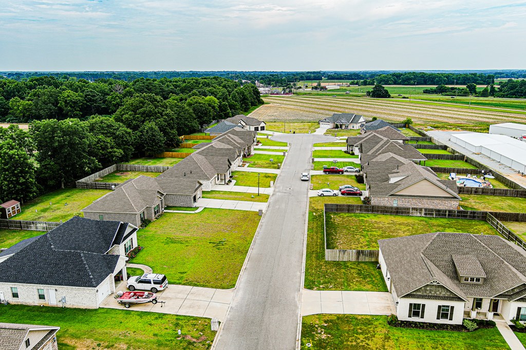 Aerial Subdivision Street View